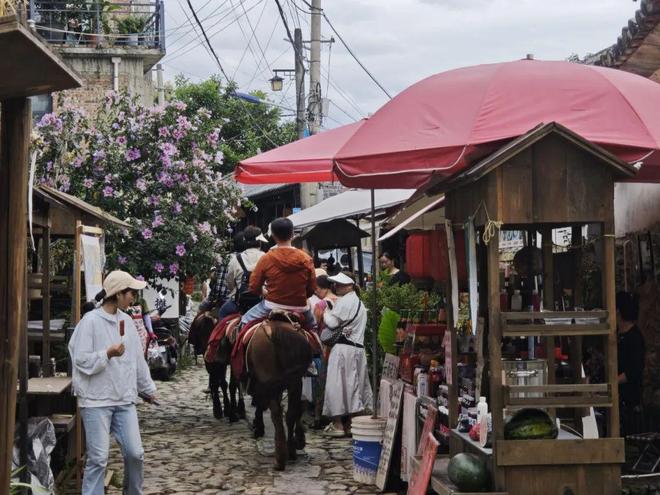 留量”艺术扎根结出“金果子”pg电子入口凤阳邑流量变“(图4)